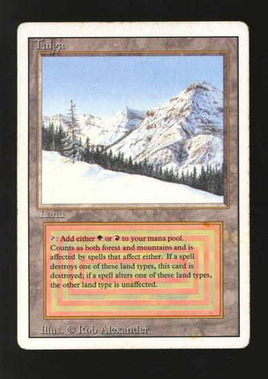 Image for Magic the Gathering 3rd Edition Revised Taiga MODERATELY PLAYED MP *243